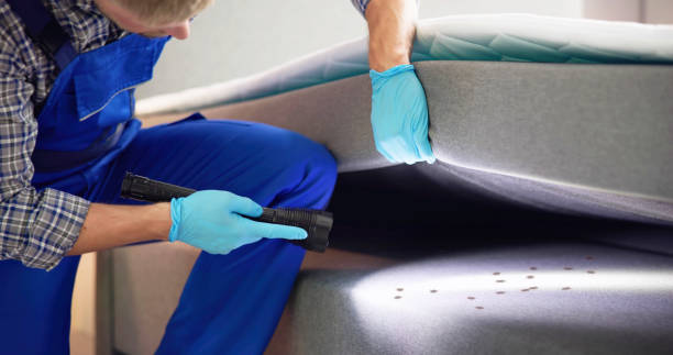 Best Pest Removal Services  in Victor, ID
