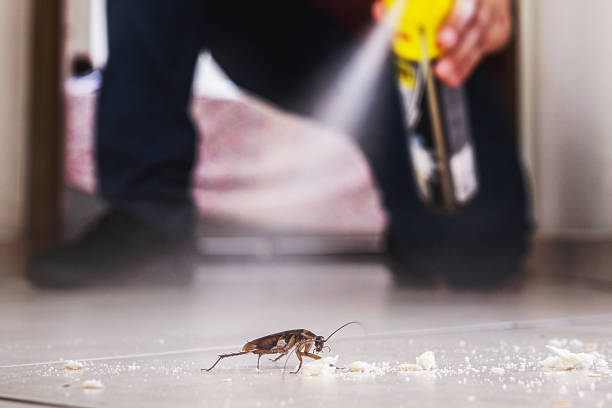 Best Affordable Pest Control Services  in Victor, ID