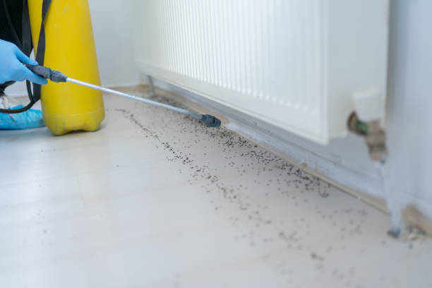 Best Pest Prevention Services  in Victor, ID